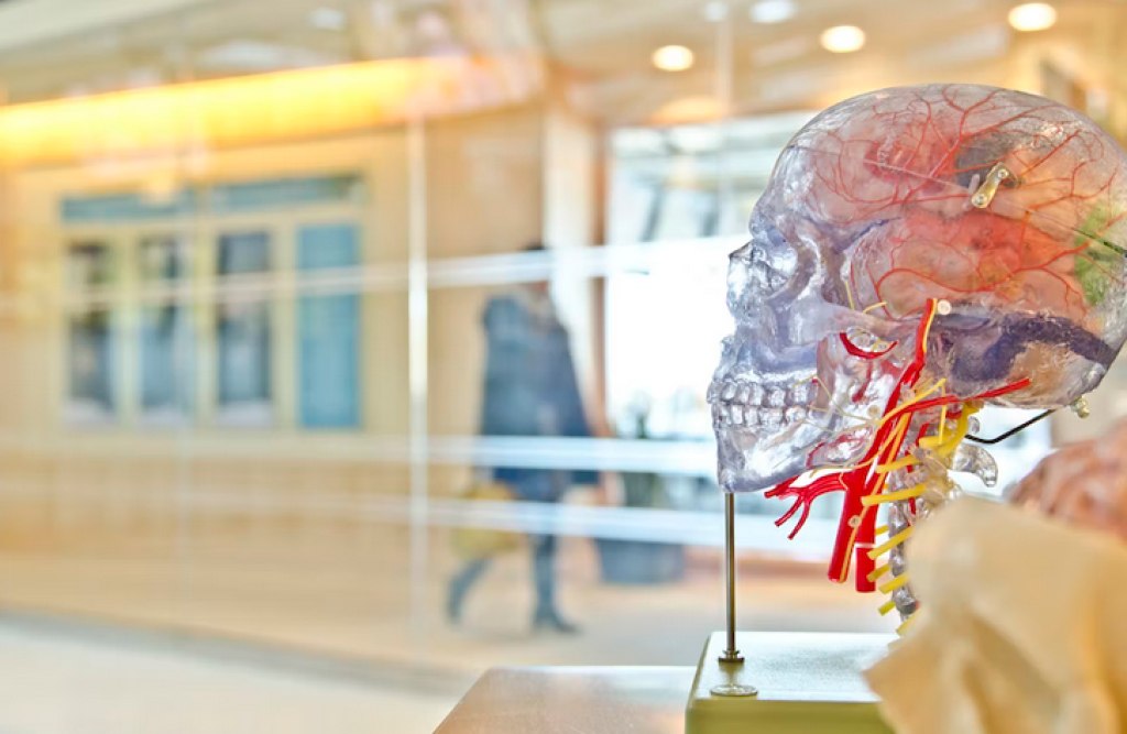 Best Dementia Treatments In California