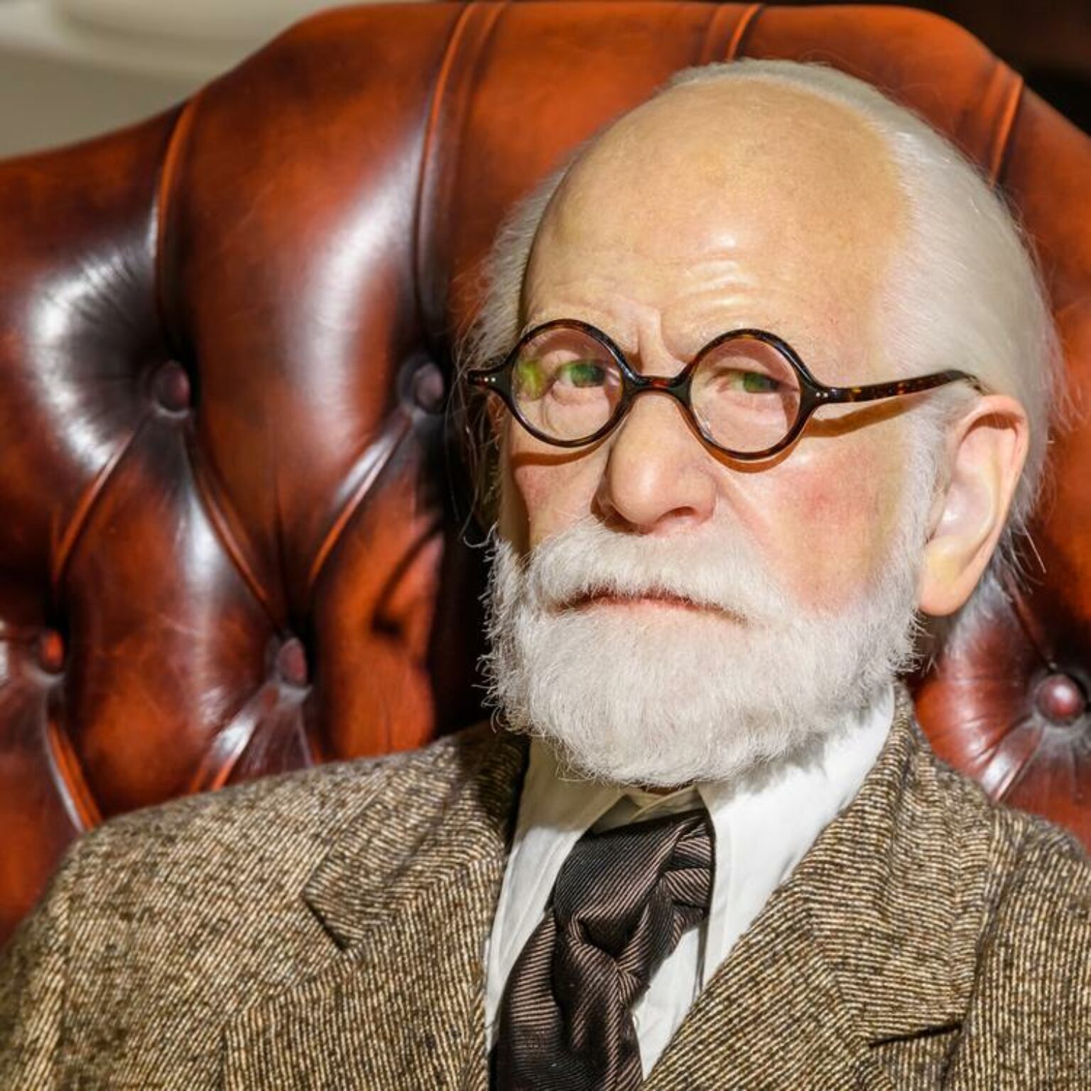 Pursue an Online Psychology Degree Bullide