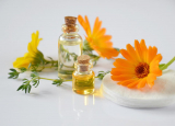10 Best Online Essential Oils Stores In Florida 