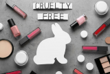 Best Online Stores To Buy Cruelty- Free Makeup In 2022