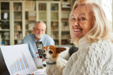 Best Dog Insurance Plans For Seniors