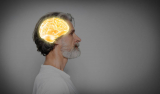 Best Free Neuroscience Online Classes For Seniors