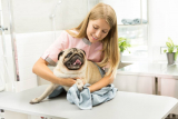 How To Find Local Pet Caretaking Jobs
