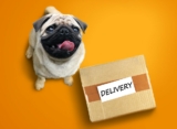 Pet Food Delivery Services
