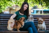 How To Find Pet Sitter Jobs